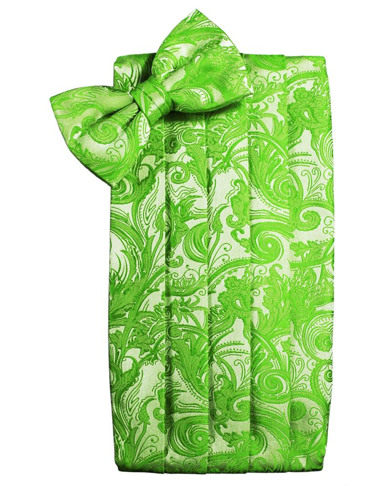 Kelly Tapestry Cummerbund