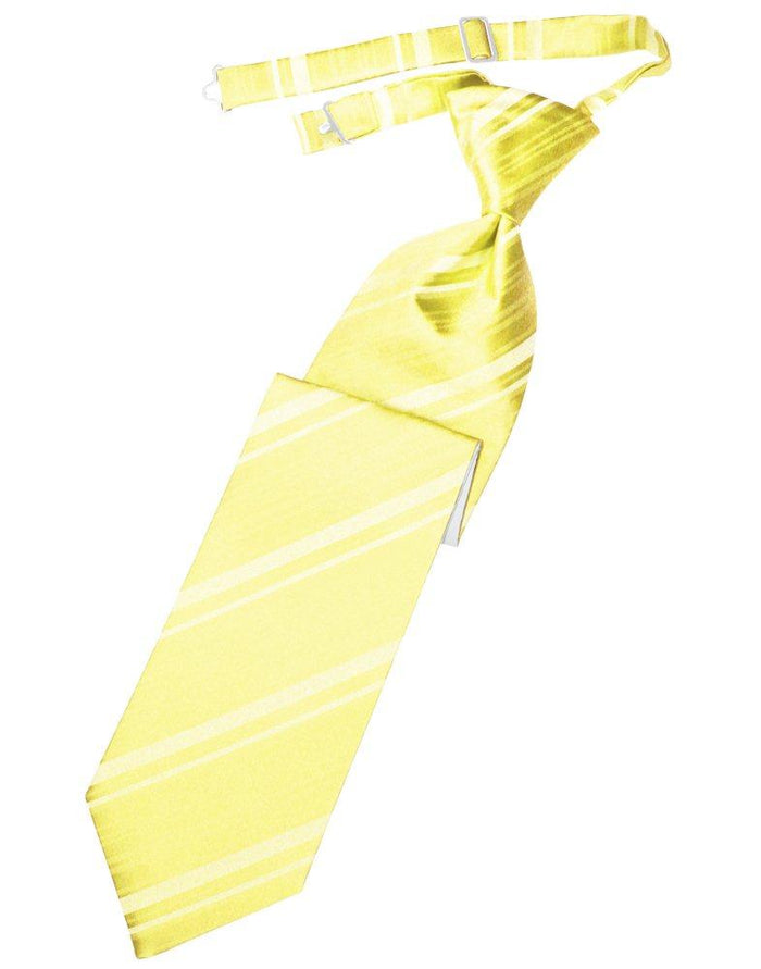 Sunbeam Striped Satin Long Tie - Tuxedo Club