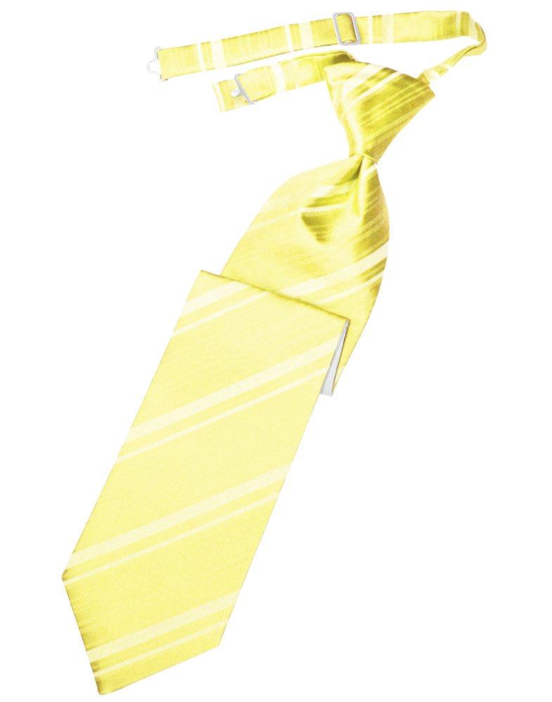 Sunbeam Striped Satin Long Tie